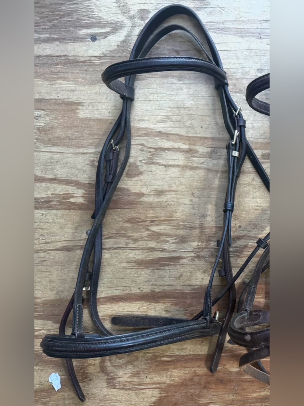 Brown and brass bridle